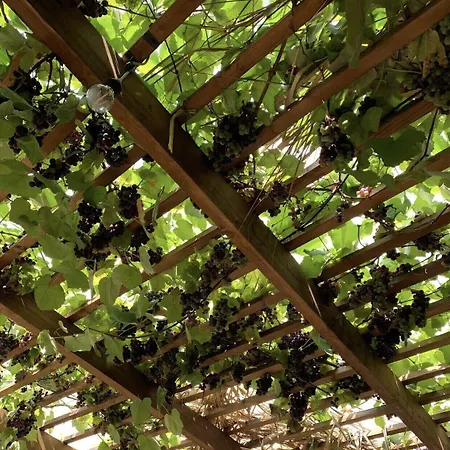 Hotel Te Bujtina Hotel- Cozy With Traditional Breakfast Near Golem (Tirana)