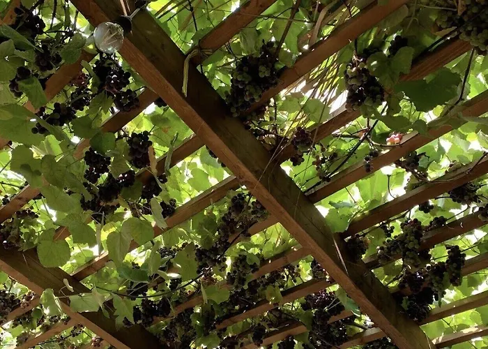 Hotel Te Bujtina Hotel- Cozy With Traditional Breakfast Near Golem (Tirana)